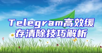 Telegram高效缓存清除技巧解析