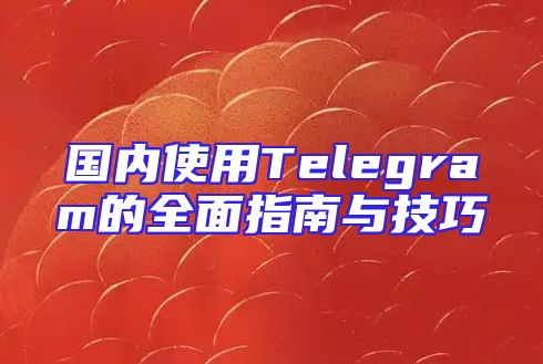 国内使用Telegram的全面指南与技巧