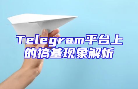 Telegram平台上的搞基现象解析