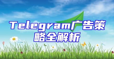 Telegram广告策略全解析