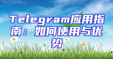Telegram应用指南：如何使用与优势