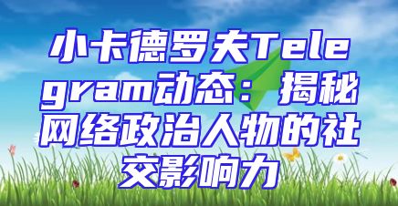 小卡德罗夫Telegram动态：揭秘网络政治人物的社交影响力