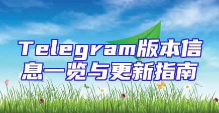 Telegram版本信息一览与更新指南