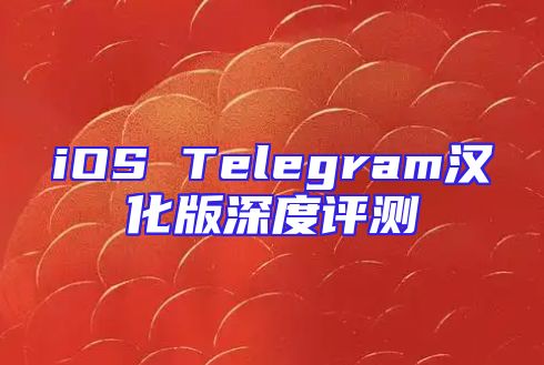 iOS Telegram汉化版深度评测