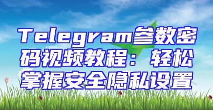 Telegram参数密码视频教程：轻松掌握安全隐私设置