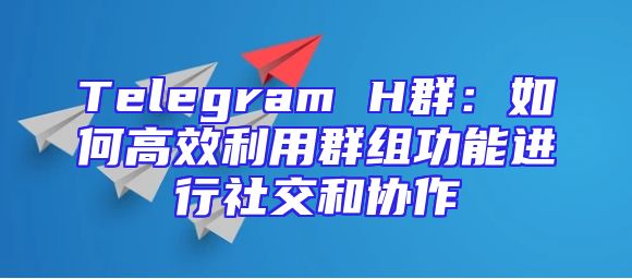Telegram H群：如何高效利用群组功能进行社交和协作