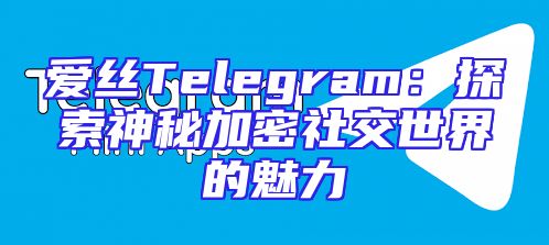 爱丝Telegram：探索神秘加密社交世界的魅力