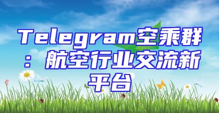 Telegram空乘群：航空行业交流新平台