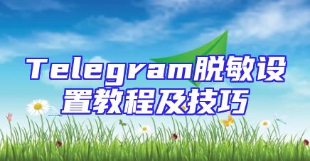Telegram脱敏设置教程及技巧