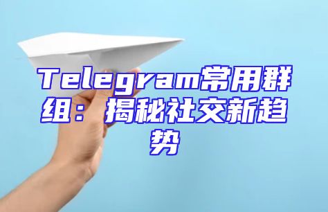 Telegram常用群组：揭秘社交新趋势