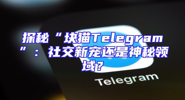 探秘“块猫Telegram”：社交新宠还是神秘领域？