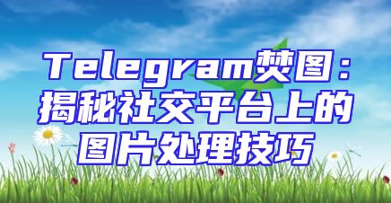 Telegram焚图：揭秘社交平台上的图片处理技巧