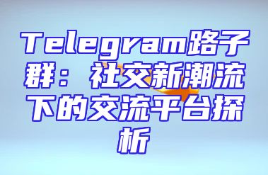 Telegram路子群：社交新潮流下的交流平台探析
