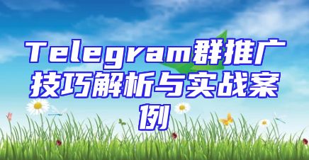 Telegram群推广技巧解析与实战案例