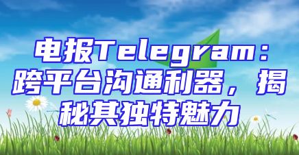 电报Telegram：跨平台沟通利器，揭秘其独特魅力