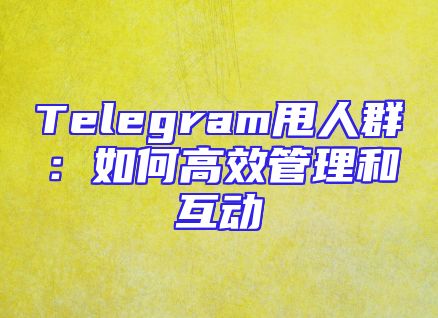 Telegram甩人群：如何高效管理和互动