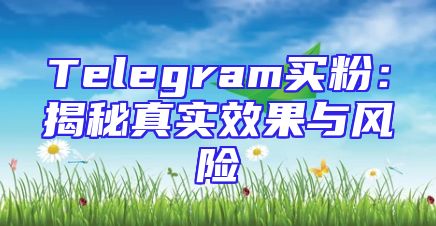 Telegram买粉：揭秘真实效果与风险