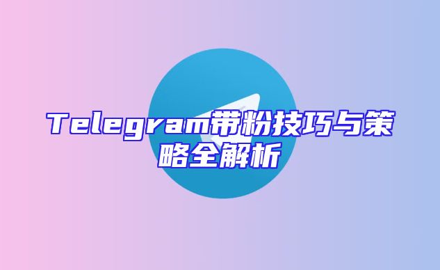 Telegram带粉技巧与策略全解析