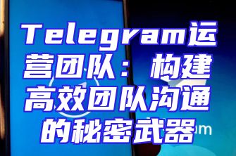 Telegram运营团队：构建高效团队沟通的秘密武器