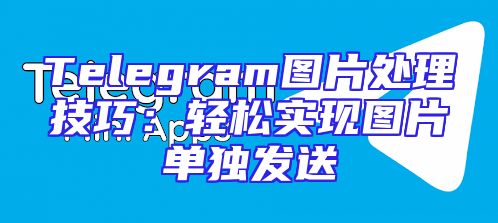 Telegram图片处理技巧：轻松实现图片单独发送