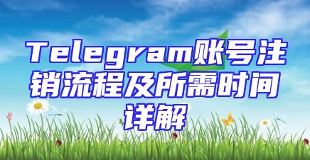 Telegram账号注销流程及所需时间详解