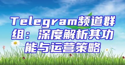 Telegram频道群组：深度解析其功能与运营策略
