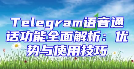 Telegram语音通话功能全面解析：优势与使用技巧