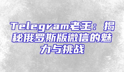Telegram老王：揭秘俄罗斯版微信的魅力与挑战