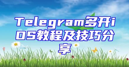 Telegram多开iOS教程及技巧分享