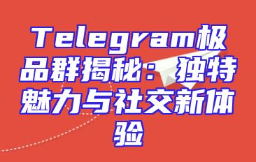 Telegram极品群揭秘：独特魅力与社交新体验