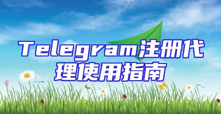Telegram注册代理使用指南
