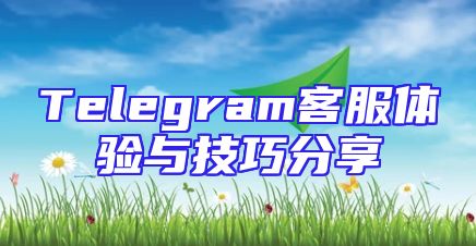 Telegram客服体验与技巧分享