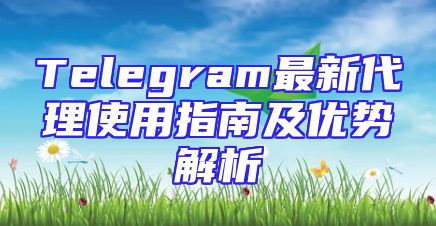 Telegram最新代理使用指南及优势解析