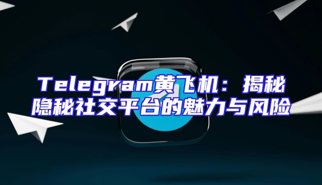 Telegram黄飞机：揭秘隐秘社交平台的魅力与风险