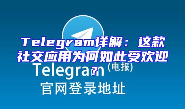 Telegram详解：这款社交应用为何如此受欢迎？