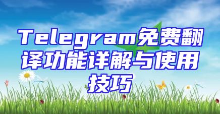 Telegram免费翻译功能详解与使用技巧