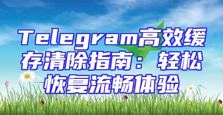 Telegram高效缓存清除指南：轻松恢复流畅体验