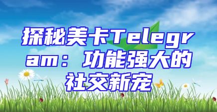 探秘美卡Telegram：功能强大的社交新宠