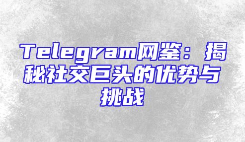 Telegram网鉴：揭秘社交巨头的优势与挑战
