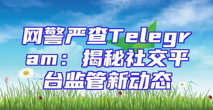 网警严查Telegram：揭秘社交平台监管新动态