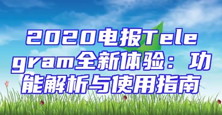 2020电报Telegram全新体验：功能解析与使用指南