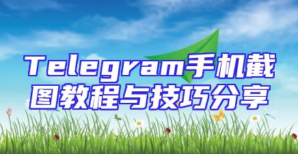 Telegram手机截图教程与技巧分享