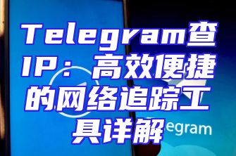 Telegram查IP：高效便捷的网络追踪工具详解