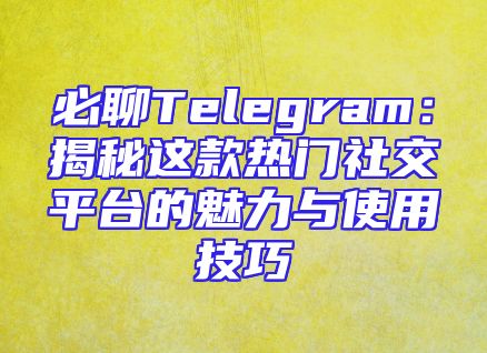 必聊Telegram：揭秘这款热门社交平台的魅力与使用技巧