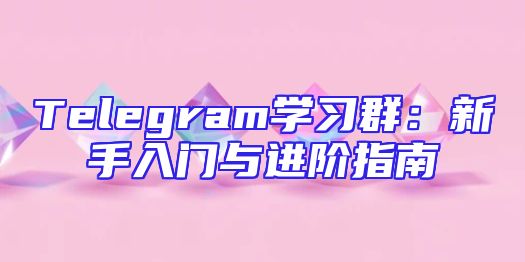 Telegram学习群：新手入门与进阶指南
