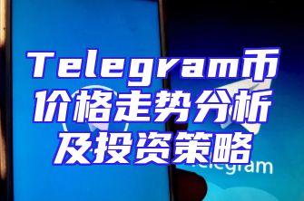 Telegram币价格走势分析及投资策略