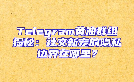 Telegram黄油群组揭秘：社交新宠的隐私边界在哪里？
