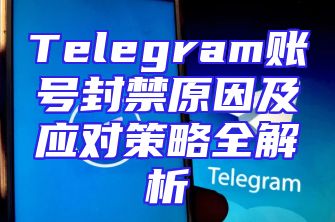 Telegram账号封禁原因及应对策略全解析