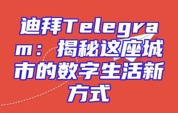 迪拜Telegram：揭秘这座城市的数字生活新方式