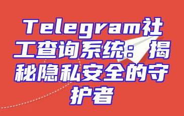 Telegram社工查询系统：揭秘隐私安全的守护者